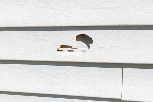 Professional Junk Removal in Sigourney, IA